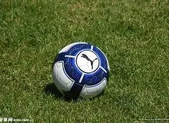 德安法院篮,球队在,骏创杯,乐鱼体育官网,LEYU,Sports,足球直播,篮球赛事,体育高清,NBA直播