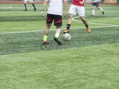 乐鱼体育,产品,乐鱼体育官网,乐鱼体育官网,LEYU,Sports,足球直播,篮球赛事,体育高清,NBA直播