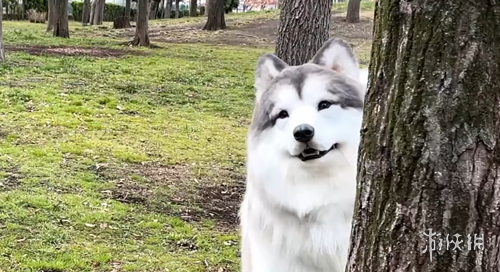 晨曦初露,辽宁队好消,息传来,乐鱼体育官网,LEYU,Sports,足球直播,篮球赛事,体育高清,NBA直播