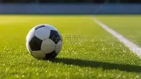 杨幂念错字引热议，粉丝解读为二次元用语