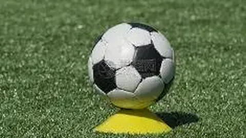 乐鱼体育 产品 084559 z0y