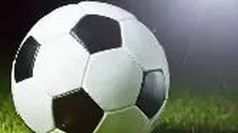 乐鱼体育 产品 085145 ymh