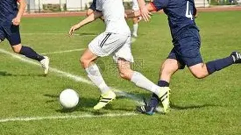 乐鱼体育 资讯 090837 oji