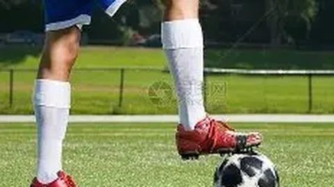 乐鱼体育 资讯 090911 oyf