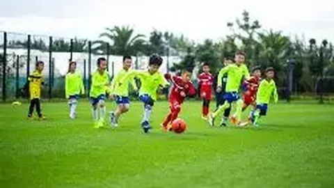 乐鱼体育 产品 084656 9t3