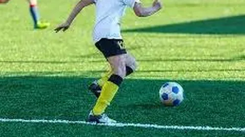 乐鱼体育 资讯 084920 w12